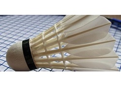 Royds Rovers Badminton Club, Huddersfield image