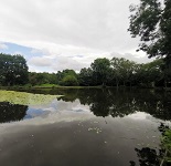 Spen Angling image