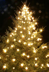 Christmas events: lights, fairs, markets etc (also festivals and galas) image
