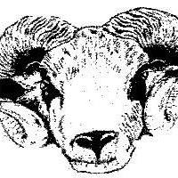 Huddersfield & Spen District Camping Association image