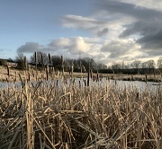 Dewsbury Country Park image