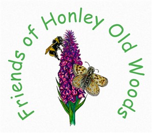 Friends of Honley Old Woods image