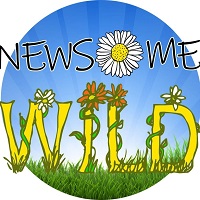 Newsome Wild image