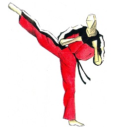 Phoenix Karate Clubs in Kirklees image