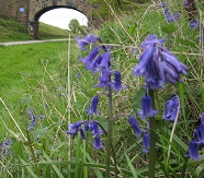 Spen Valley Greenway image