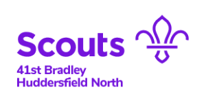 Bradley Scouts image