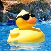 Holmfirth Charity Duck Race and Gala (organisers) image