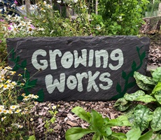 All the latest from Growing Works