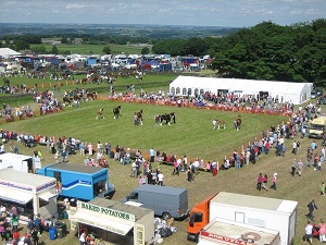 Honley Show Society Ltd image
