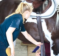 Riding for the Disabled Association - Huddersfield Group image