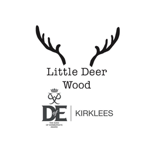 Kirklees DofE (Duke of Edinburgh's Award) and Little Deer Wood Activity Centre image