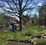Friends of Highfields Community Orchard image