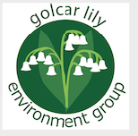 Golcar Lily Environment Group image