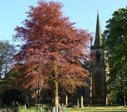 Meltham Mills St James Church image
