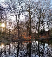 Friends of Gledholt Woods, Huddersfield image