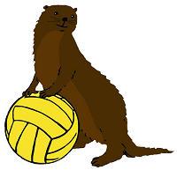 Huddersfield Otters ASC (Water Polo) image